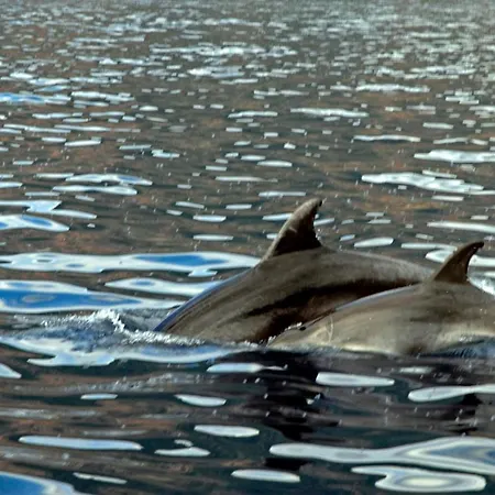 Hotel Le Romantique 2*