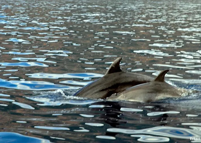 Hotel Le Romantique 2*