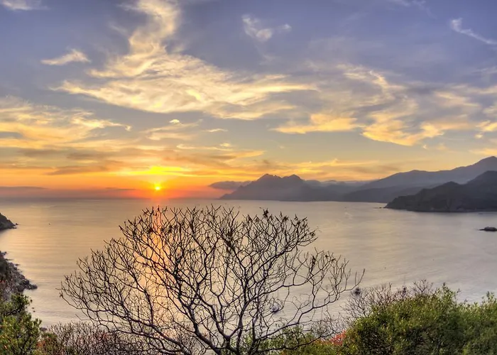 Le Romantique Ota (Corse-du-Sud)